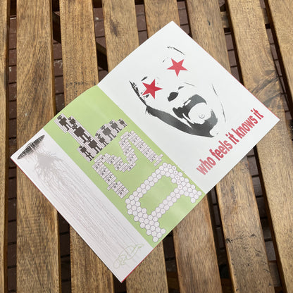 Ecstacid Zine